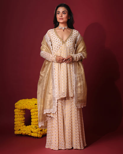 Rasiyaa Ivory Kurta Sharara Set with Kota Silk Dupatta