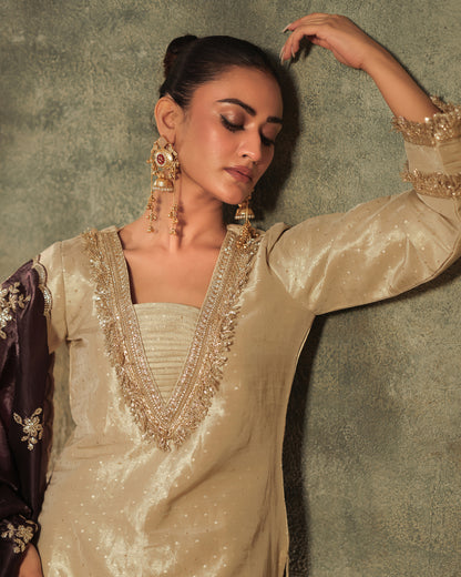 Rasiyaa Tissue Silk Kurta and Farsi Salwar set of 3